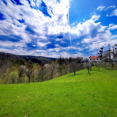Agropensiunea Floare De Tei Kővárgyertyános Kültér fotó